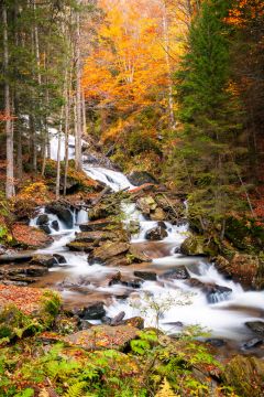 herbst wiel