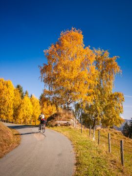 herbst wiel