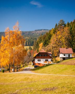 herbst wiel