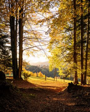herbst wiel