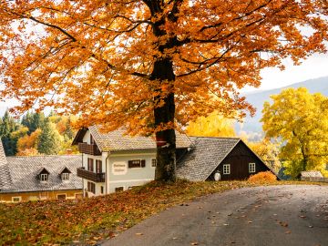 herbst wiel