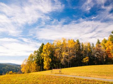 herbst wiel