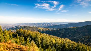 herbst wiel